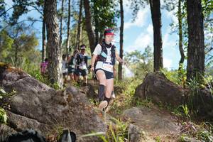 BIB: 
                            <button type="button" onclick="openModal(18916755)" class="btn btn-primary btn-sm float-right btn-popup" data-toggle="modal" data-target=".modal-high-quality">
                        <i class="fas fa-shopping-cart"></i> Add to Cart
                    </button>
                                            <button type="button" onclick="isThisMe(18916755, true)" class="btn btn-success btn-sm float-right btn-popup btn-isme hidden" data-toggle="tooltip" data-placement="bottom" title="นี่คือรูปของคุณใช่ไหม คลิกที่นี่เพื่อเอาเข้าอัลบั้ม">
                        <i class="fas fa-plus"></i> Add to album
                    </button>
                    <button type="button" onclick="isThisMe(18916755, false)" class="btn btn-warning btn-sm float-right btn-popup btn-isnotme hidden">
                        <i class="fas fa-ban"></i> Remove from album
                    </button>